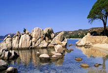 圣安东尼奥马刺主帅放话：美网抢七大战必胜波士顿凯尔特人，辛纳冷笑回应